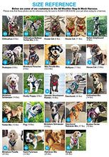 Load image into Gallery viewer, Voyager Step-in Air Dog Harness - All Weather Mesh Step in Vest Harness for Small and Medium Dogs by Best Pet Supplies - Pink (Matching Trim), XXS
