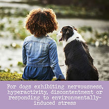 Load image into Gallery viewer, EverRoot Dog Supplement for Dog Anxiety Relief by Purina, Calming Chewable Tablet with Chamomile - 4.23 oz. Canister
