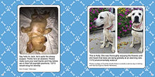 Load image into Gallery viewer, #WeRateDogs: The Most Hilarious and Adorable Pups You've Ever Seen
