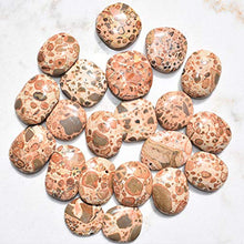 Load image into Gallery viewer, Zenergy Gems Selenite Charged Hand-Carved Natural Peruvian Leopardskin Jasper Palm Stone/Worry Stone + Selenite Heart Charging Crystal [Included]

