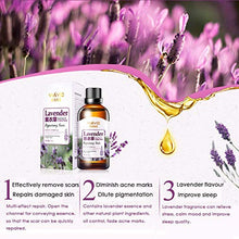 Load image into Gallery viewer, Taykoo Scar Repair Skin Essential Oil Lavender Essence Skin Care Natural Pure Remove Ance Burn Strentch Marks Scar Removal
