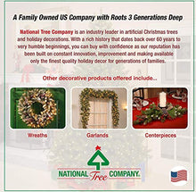 Load image into Gallery viewer, National Tree Company Artificial Mini Christmas Tree, Green, Dunhill Fir, Includes Stand, 4.5 Feet

