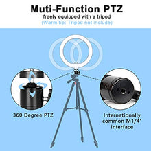 Load image into Gallery viewer, Selfie Ring Light with Tripod Stand, 10.2" Desktop LED Makeup Ring Light, Phone Holder for YouTube Video, Live Stream, Shooting, Dimmable Selfie Ring Light with 3 Light Modes &amp; 14 Brightness Level
