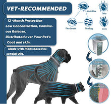Load image into Gallery viewer, Flea and Tick Collar Drop for Cat, Made with Natural Plant Based Essential Oil, Safe, Effective, Waterproof, 12-Month Protection, Free Flea Comb &amp; Treatment Prevention Drop, 13.8 in (4 Packs)

