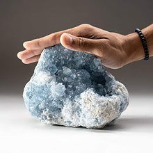 Load image into Gallery viewer, Astro Gallery of Gems Blue Celestite Cluster Geode from Sankoany, Ketsepy Mahajanga, Madagascar (5.8 lbs) - BC65
