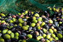 Load image into Gallery viewer, Clemente Ulisse Extra Virgin Olive Oil | NON GMO | Cold Extracted | (101 Fl Oz (3lt) - Pack of 2)
