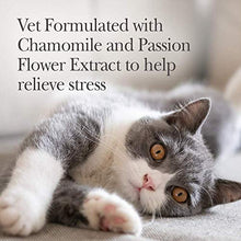 Load image into Gallery viewer, Nutri-Vet Pet-Ease Calming Paw Gel for Cats | Support for Cat Anxiety and Stress | Tasty &amp; Easy to Give | 3 Ounce Tube, Salmon
