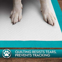 Load image into Gallery viewer, Simple Solution Training Puppy Pads | 6 Layer Dog Pee Pads, Absorbs Up to 6 Cups of Liquid | 23x24 Inches, 50 Count
