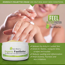 Load image into Gallery viewer, Organic Pain Relief Cream by ZenRenu - MSM Turmeric Arnica, Helichrysum | Made in USA - Muscles, Joints, Back, Neck &amp; Skin Conditions
