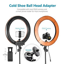 Load image into Gallery viewer, Neewer Ring Light Kit:18"/48cm Outer 55W 5500K Dimmable LED Ring Light, Light Stand, Carrying Bag for Camera,Smartphone,YouTube,TikTok,Self-Portrait Shooting, Black, Model:10088612
