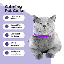 Load image into Gallery viewer, PETPLUS Cat Calming Collar for Cats | Purrfect to Reduce Your Pet’s Anxiety or Aggression | Pheromones for Cats &amp; Cat Anxiety Relief | Cat Calming Products for Kittens | 2-Month Protection, 1 Collar
