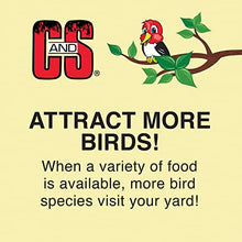Load image into Gallery viewer, C&amp;S Wild Bird EZ Fill Suet Basket, Green
