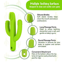 Load image into Gallery viewer, Cactus Baby Teething Toys Toothbrush | Self-Soothing Pain Relief Soft Silicone Teether Training Toothbrush for Babies, Toddlers, Infants, Boy and Girl | Natural Organic BPA Free | 3+ Months | Green
