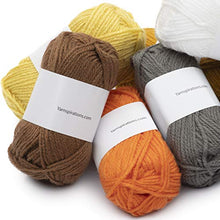 Load image into Gallery viewer, Caron Little Crafties 20 Assorted Acrylic Yarn Skeins 63yd Each for Knitting and Crochet Projects , Multipack Starter Kit
