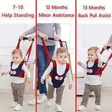 Load image into Gallery viewer, Baby Walker, Adjustable Baby Walking Harness Safety Harnesses, Pulling and Lifting Dual Use 7-24 Month Breathable Stand Up &amp; Walking Learning Helper for Infant Child Activity Walker (Blue)
