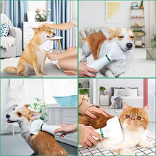 Load image into Gallery viewer, PETRIP Dog Hair Dryer Pet Dryer Professional Grooming Blower Dog Slicker Brush for Medium Pet Small Dog Cat (White, 2 in 1 Dryer)
