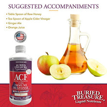 Load image into Gallery viewer, Buried Treasure ACF Extra Strength Extreme Immune Support with Elderberry Echinacea Vitamin C and Herbal Blend for Comprehensive Rapid Relief 16 Fluid Ounce
