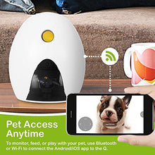 Load image into Gallery viewer, FunPaw Q Cat &amp; Dog Treat Dispenser w/ Toy Laser: Monitor from Anywhere w/ The App, 720p Hi-Res Pet Camera &amp; 2-Way Audio
