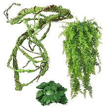 Load image into Gallery viewer, kathson Reptile Vines Plants Flexible Bendable Jungle Climbing Vine Terrarium Plastic Plant Leaves Pet Tank Habitat Decor for Bearded Dragons Lizards Geckos Snakes Hermit Crab Frogs and More Reptiles
