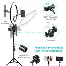 Load image into Gallery viewer, 10" LED Selfie Ring Light with 2 Tripod Stand &amp; 3 Cell Phone Holder 3 Lighting Modes 10 Dimmable Brightness for Live Streaming YouTube Video Photography Makeup Circle Light for iPhone Android Camera

