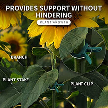 Load image into Gallery viewer, Ram-Pro 40 Piece Green Gentle Gardening Plant &amp; Flower Lever Loop Gripper Clips, Tool for Supporting or Straightening Plant Stems, Stalks, and Vines, Garden Clips
