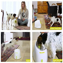 Load image into Gallery viewer, AFP Automatic Dog Ball Launcher Interactive Puppy Pet Ball Indoor Thrower Machine for Small and Medium Size Dogs, 3 Balls Included (2 inch)

