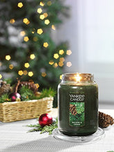 Load image into Gallery viewer, Yankee Candle Large Jar Candle Balsam &amp; Cedar
