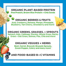 Load image into Gallery viewer, Orgain Organic Protein + Superfoods Powder, Creamy Chocolate Fudge - 21g of Protein, Vegan, Plant Based, 6g of Fiber, No Dairy, Gluten, Soy or Added Sugar, Non-GMO, 2.02 Lb
