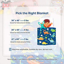 Load image into Gallery viewer, Sivio Kids Weighted Blanket &amp; Removable Duvet Cover Set 100% Cotton Weighted Comforter with Glass Beads, 3lbs 36 × 48 inch, Minky Dotted Cover Machine Washable, Blue Dinosaur
