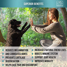 Load image into Gallery viewer, BEST HIP &amp; JOINT SUPPLEMENTS FOR DOGS: Product of USA- Natural Pain Relief &amp; Mobility + Аnti-inflammatory and Аnti-arthritic effects Maximum strength Glucosamine &amp; Chondroitin approx/170 Soft Chews
