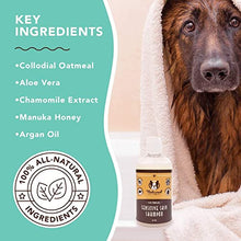 Load image into Gallery viewer, Natural Dog Company Sensitive Skin Shampoo (12 oz) | Aloe Vera and Oatmeal Dog Shampoo for Itchy Skin | Natural and Hypoallergenic | Non-Toxic and Paraben-Free | Hydrates, Soothes and Heals Irritation
