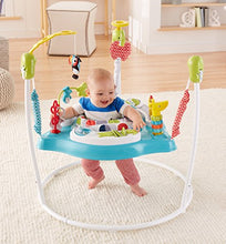 Load image into Gallery viewer, Fisher-Price Color Climbers Jumperoo
