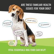 Load image into Gallery viewer, Vital Essentials Freeze-Dried Beef Mini Nibs Dog Food, 16 oz
