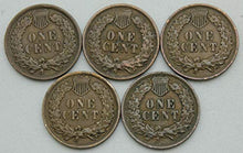 Load image into Gallery viewer, Vintage Indian Head Cents Collection Starter Kit U.S. Coins Old Pennies Estate Sale Liquidation United States Hoard All Over 100+ Years Old
