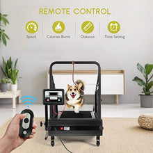 Load image into Gallery viewer, PETSITE Dog Treadmill, Pet Dog Running Machine for Small &amp; Medium-Sized Dogs, Pet Fitness Treadmill with 1.4'' LCD Display Screen, 200 LBS Capacity
