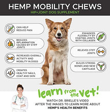 Load image into Gallery viewer, PetHonesty Hemp Hip &amp; Joint Supplement for Dogs w/Hemp Oil &amp; Hemp Powder - Glucosamine Chondroitin for Dogs w/Turmeric, MSM, Green Lipped Mussel, Dog Treats Improve Mobility,Reduces Discomfort - Bacon
