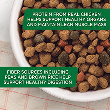 Load image into Gallery viewer, Rachael Ray Nutrish Premium Natural Dry Dog Food, Real Chicken &amp; Veggies Recipe, 14 Pounds (Packaging May Vary)
