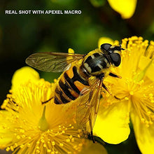Load image into Gallery viewer, Apexel Professional Macro Lens for iPhone, Pixel, Samsung Galaxy and OnePlus Camera Phones
