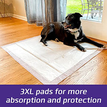 Load image into Gallery viewer, Hartz Home Protection Odor Eliminating Scented Dog Pads, Super Absorbent &amp; Won’t Leak, Lavender Scent, 3XL Size Pads, 60 Count
