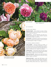 Load image into Gallery viewer, In Bloom: Growing, Harvesting, and Arranging Homegrown Flowers All Year Round (CompanionHouse Books) Create a Perfect Garden of Color, Texture, &amp; Shape with Annuals, Perennials, Shrubs, Trees, &amp; More
