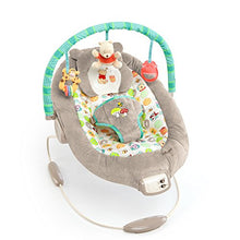 Load image into Gallery viewer, Disney Baby Winnie The Pooh Bouncer, Dots and Hunny Pots
