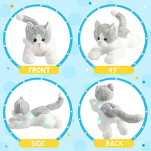 Load image into Gallery viewer, Houwsbaby Light up Kitty Stuffed Animal Cat Floppy LED Plush Toy Kitten Night Lights Glow Pillow Birthday Gifts for Kids Toddler Girls, Gary, 15''
