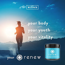 Load image into Gallery viewer, Renew Multi Collagen Protein Powder - 5 Types of Collagen - Hydrolyzed Grass-Fed Bovine, Marine, Chicken and Egg Collagen Peptides - Type I, II, III, V, and X - Keto Friendly Supplement

