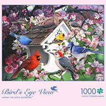 Load image into Gallery viewer, Buffalo Games - Among The Apple Blossoms - 1000 Piece Jigsaw Puzzle
