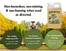Load image into Gallery viewer, Fountain Algaecide and Clarifier - 64oz - Kills and Inhibits All Types of Algae Growth, Formulated for Small Ponds and Water Features, Treats up to 64,000 Gallons

