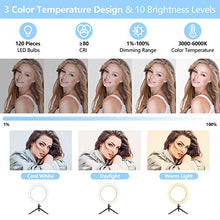 Load image into Gallery viewer, Selfie Ring Light with Tripod Stand, 10.2" Desktop LED Makeup Ring Light, Phone Holder for YouTube Video, Live Stream, Shooting, Dimmable Selfie Ring Light with 3 Light Modes &amp; 14 Brightness Level
