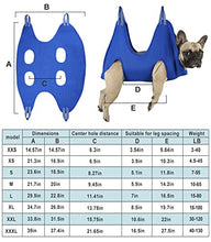 Load image into Gallery viewer, Kkiimatt 10 in 1 Pet Grooming Hammock Harness for cat and Extra Small Dogs,Breathable Dog Hammock Restraint Bag, Dog Grooming Helper for Nail Trimming/Clipping (XXS, Blue)
