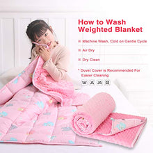 Load image into Gallery viewer, TerriTrophy Kids Weighted Blanket 7lbs,41 x 60inches, Minky &amp; Cotton Weighted Blanket for Kids, Toddlers, Boys, Girls, Children,Best Gifts for Christmas Birthday
