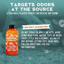 Load image into Gallery viewer, ANGRY ORANGE Pet Odor Eliminator for Home - 8oz Dog &amp; Cat Urine Smell Remover - Citrus Concentrate - Makes a Gallon (128 oz)
