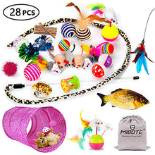 Load image into Gallery viewer, MIBOTE 28 Pcs Cat Toys Kitten Toys Assorted, Cat Tunnel Catnip Fish Feather Teaser Wand Fish Fluffy Mouse Mice Balls and Bells Toys for Cat Puppy Kitty with Storage Bag
